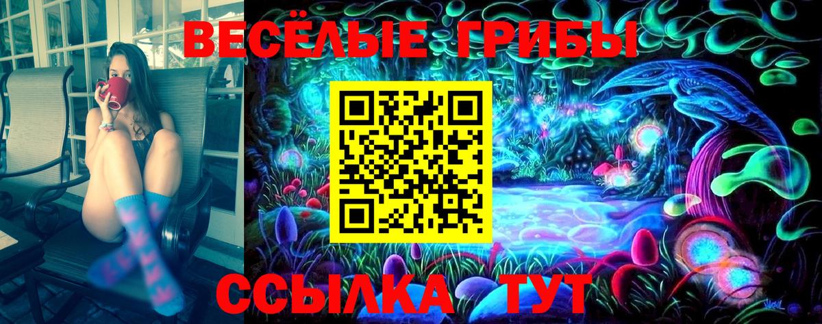 Псилоцибиновые грибы мицелий  Псилоцибиновые грибы прущие грибы  Вход с VPN  Бугуруслан 